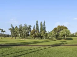 Bird of Paradise Condo