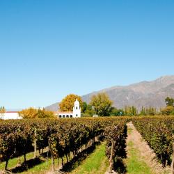 Cafayate Accommodation Missouri
