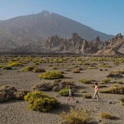 Canary Islands Accommodation Missouri