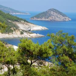 Thasos Accommodation Missouri