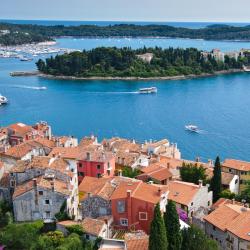 Dalmatia Accommodation Missouri