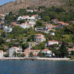 Mlini Accommodation Missouri