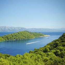 Mljet Island Accommodation Missouri