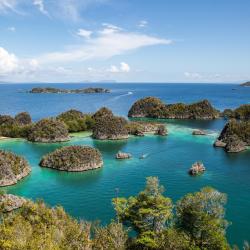 Raja Ampat Accommodation Missouri