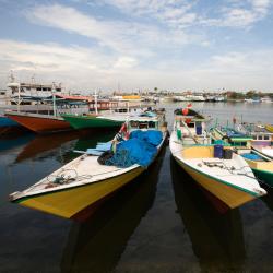 South Sulawesi Accommodation Missouri