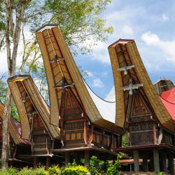 Sulawesi Accommodation Missouri