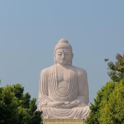 Bihar Accommodation Missouri