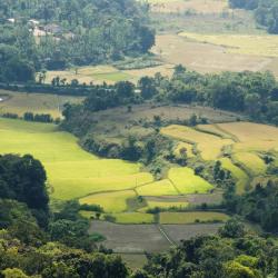 Coorg Accommodation Missouri