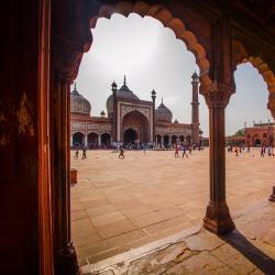 Delhi NCR Accommodation Missouri