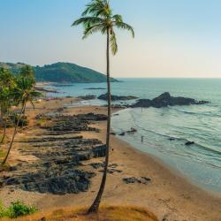 North Goa Accommodation Missouri