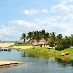 Pondicherry Accommodation Missouri