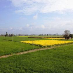 Punjab Accommodation Missouri