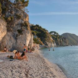 Elba Accommodation Missouri