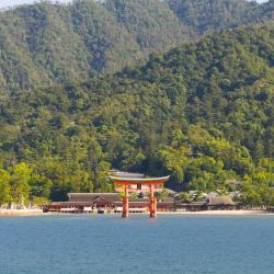 Aichi Accommodation Missouri