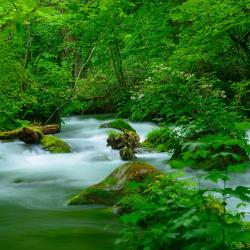 Aomori Accommodation Missouri