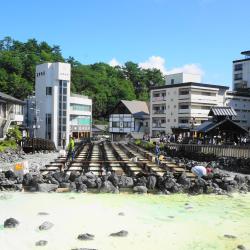 Gunma Accommodation Missouri