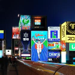 Osaka Prefecture Accommodation Missouri