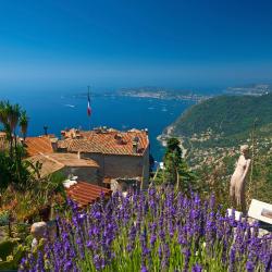 Exotic Garden of Monaco, Monte Carlo Accommodation Missouri