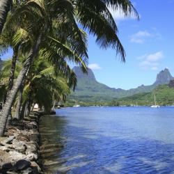 Moorea Accommodation Missouri