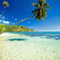 Moorea Accommodation Missouri