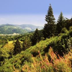 Lodz Accommodation Missouri