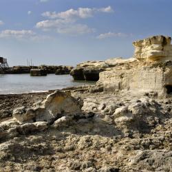 Podlaskie Accommodation Missouri