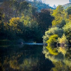 Beira Alta Accommodation Missouri