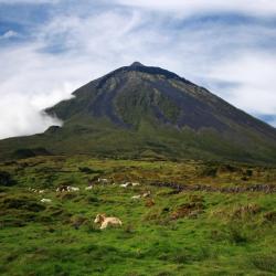 Pico island Accommodation Missouri