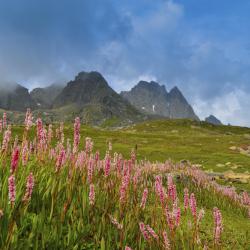 Santa Maria Accommodation Missouri