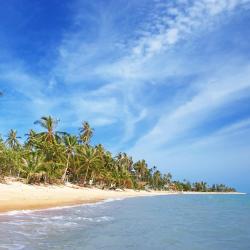 Koh Samui Accommodation Missouri