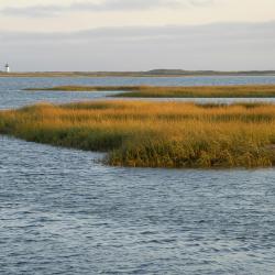 Cape Cod Accommodation Missouri