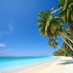 Hawaii Accommodation Missouri