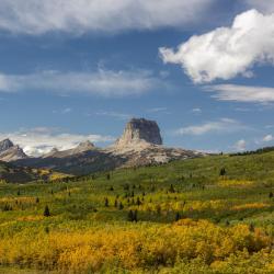 Texas Accommodation Missouri