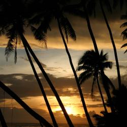 Mulifanua Accommodation Missouri
