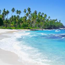 Savaii Accommodation Missouri