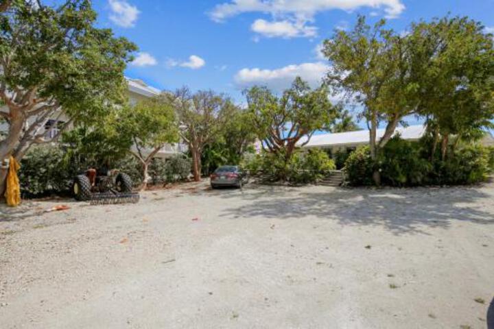 The Henry Flagler - thumb 4