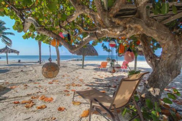 The Henry Flagler - thumb 0