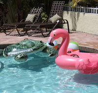 Palm Tree Villas - Accommodation Missouri