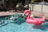 Holmes Beach Fl Accommodation Missouri