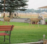 Rim Rock Motel - Accommodation Missouri