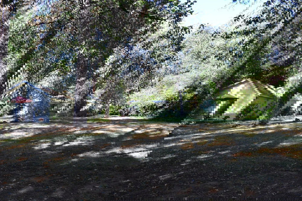 Backyard Garden Oasis - thumb 5