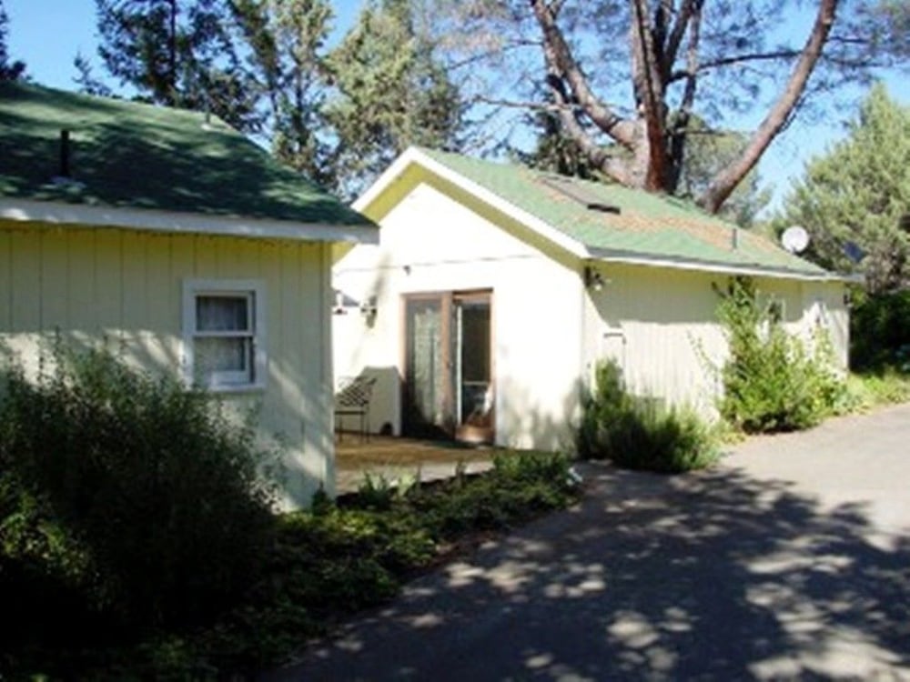 Backyard Garden Oasis - thumb 6