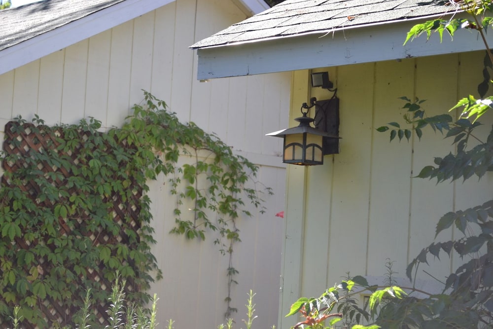 Backyard Garden Oasis - thumb 2