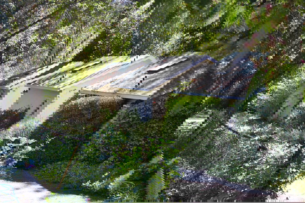 Backyard Garden Oasis - thumb 1