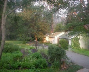 Backyard Garden Oasis - thumb 3