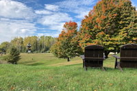 Bear Lake Mi Accommodation Missouri