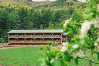 The Halfway House Motel