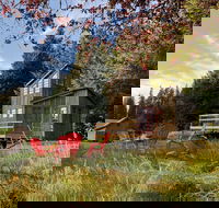 Clydesdale Outpost - Accommodation Missouri