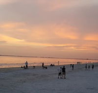 5583 Estero Blvd Iguana Mama's Beach House - Accommodation Missouri