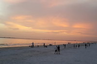 5583 Estero Blvd Iguana Mama's Beach House